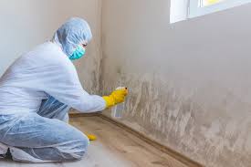 Why You Should Choose Our Mold Remediation Services in New Philadelphia, OH